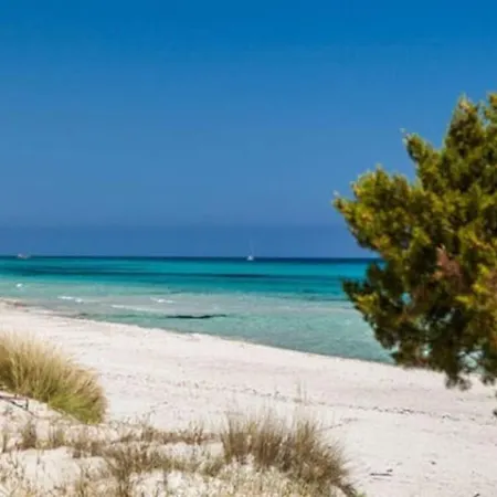 Splendida Unifamiliare Vakantiehuis Torpè
