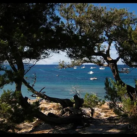 Vakantiehuis Splendida Unifamiliare *