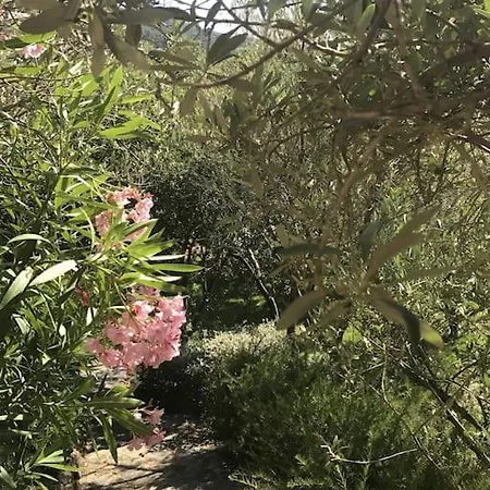 Vakantiehuis Splendida Unifamiliare *