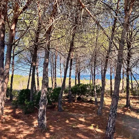 Splendida Unifamiliare Torpè